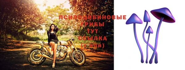 jwh Алзамай