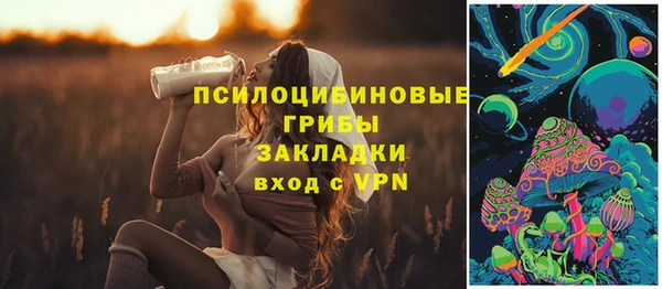круглые Абаза
